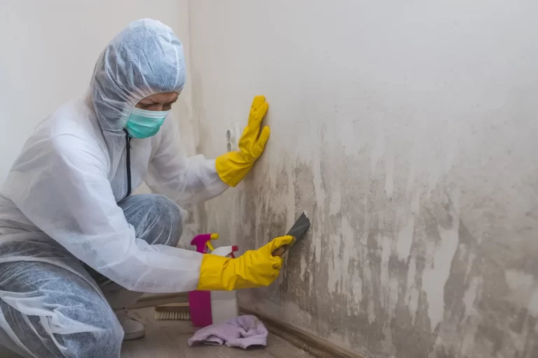 a professional mold remediation expert scrubbing mold from wall.