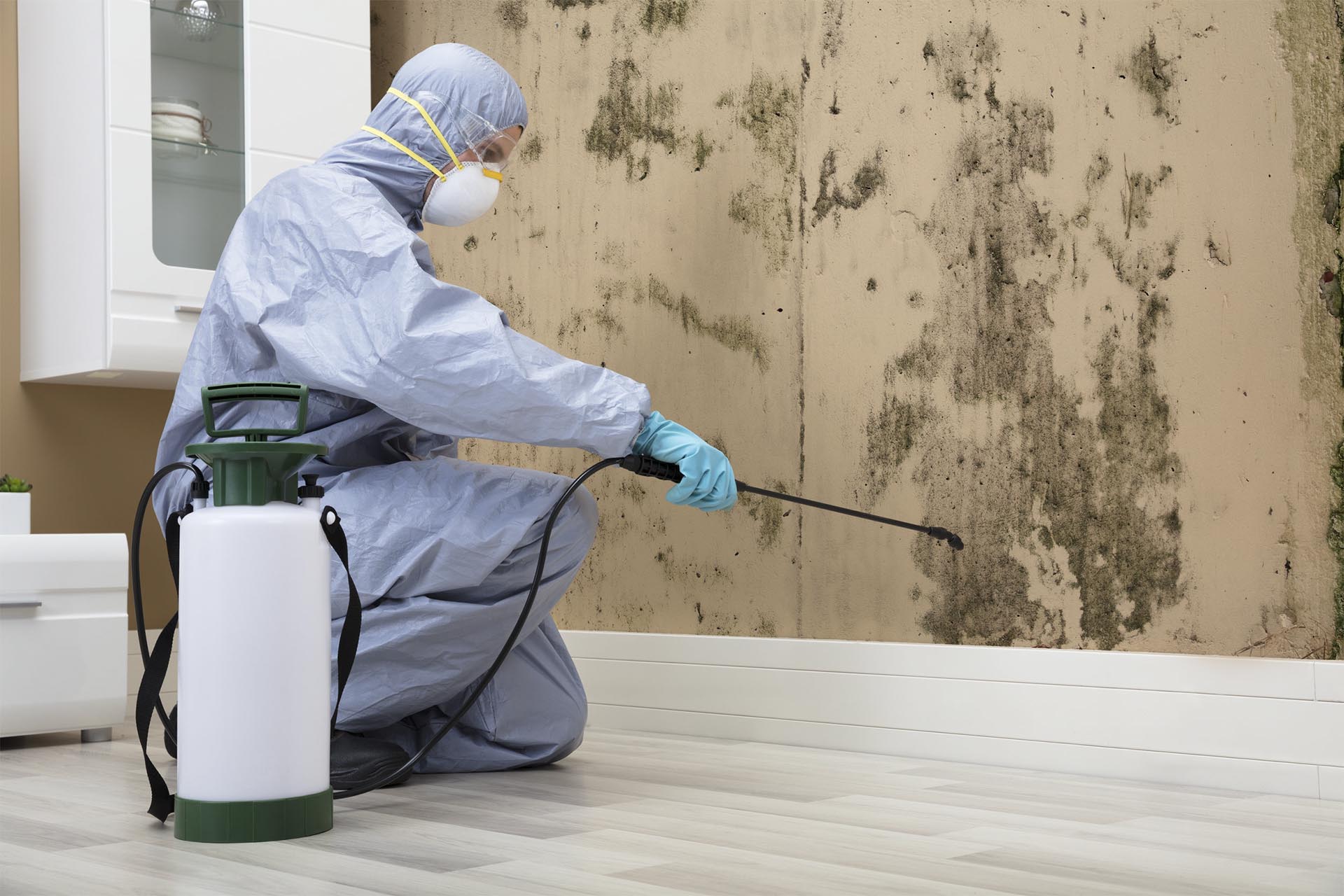 spraying mold killing solution on the wall.