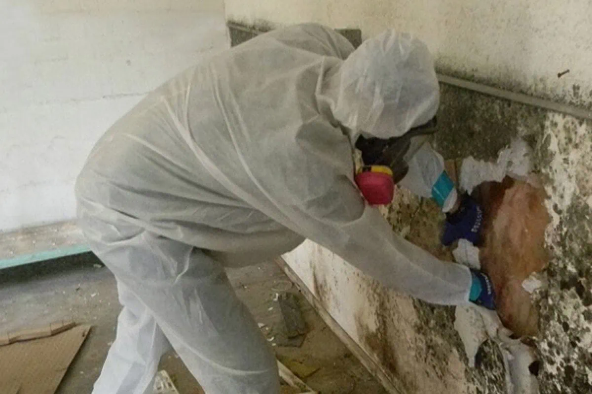 a person wearing protective gear and removing wooden wall affected by mold.