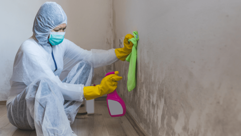 a woman wearing protective gear spraying mold odor removal solution on wall.