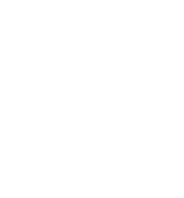 Pine Peak Logo in White